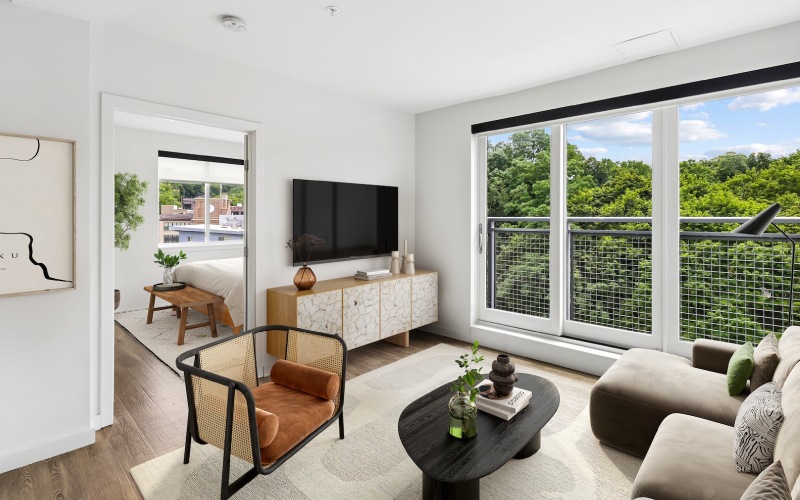 Open space living area with natural lighting